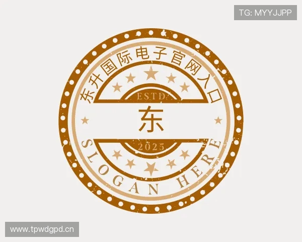 解读东升国际电子官网入口